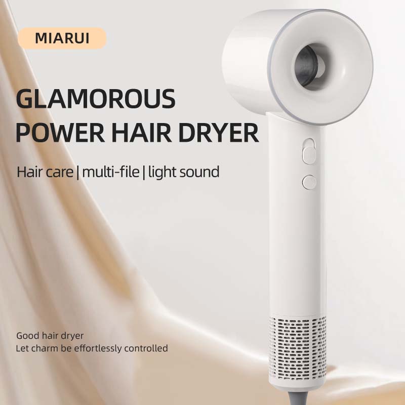 MR3043 Powerful Brushless High Speed Hair Dryer for Hair Care
